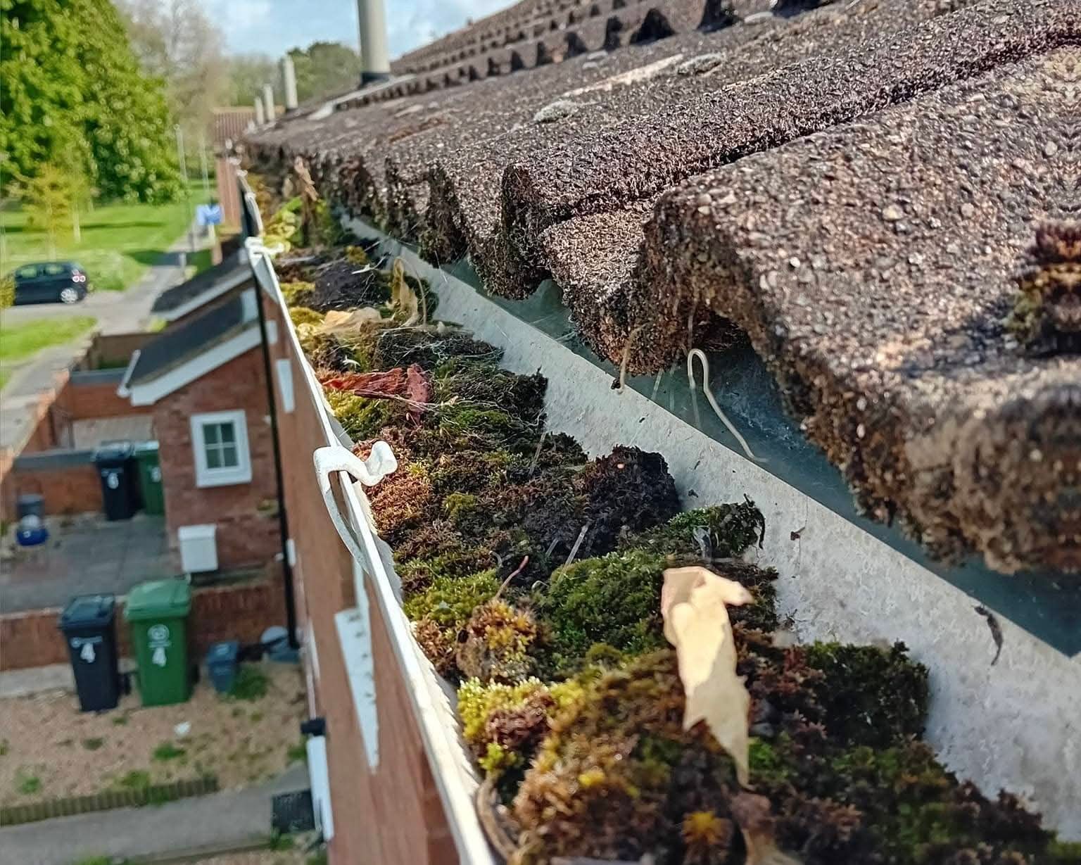 Moss and rotting leaves filling a gutter, Fareham area — before wet-vac clear-out